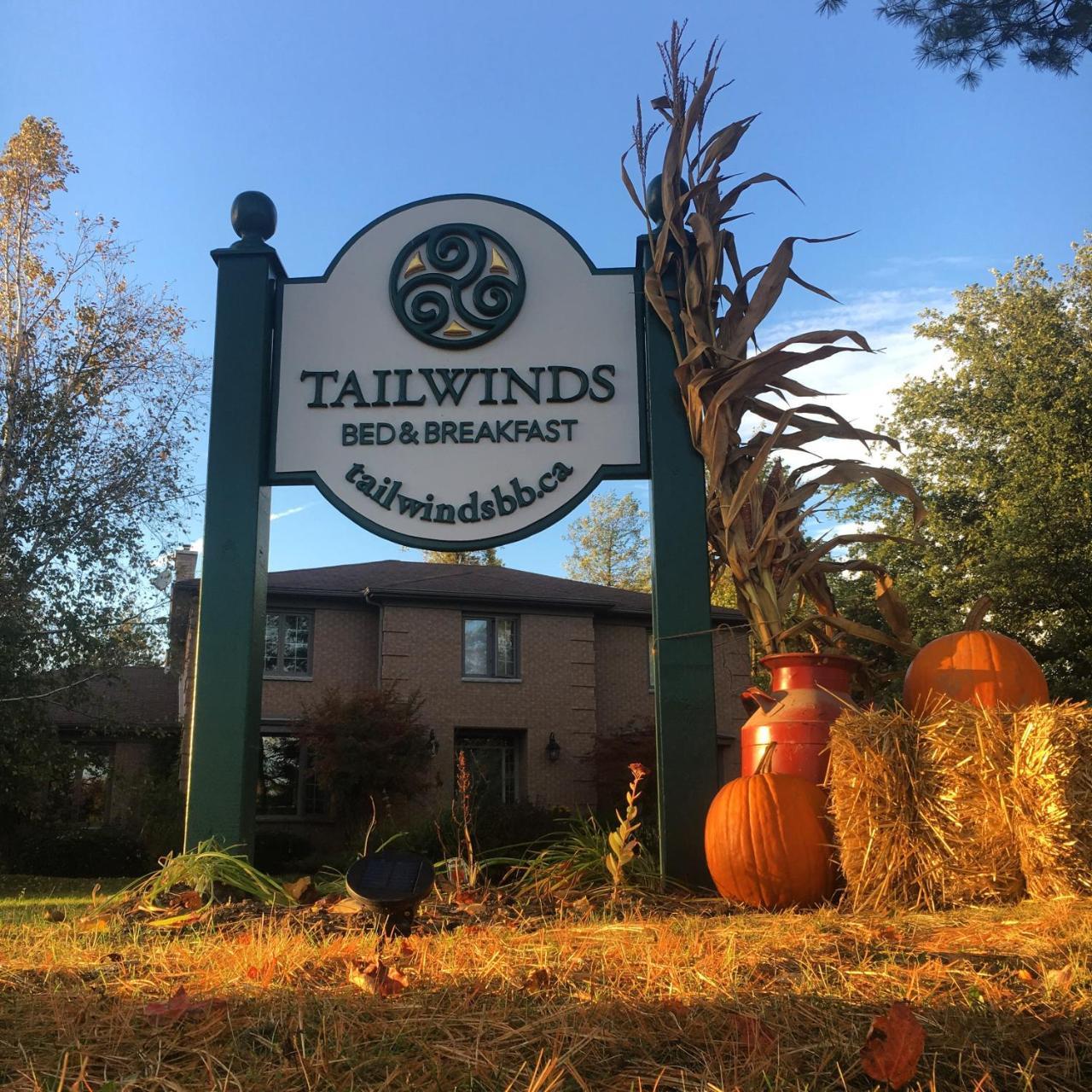 Tailwinds B&B Erin Экстерьер фото